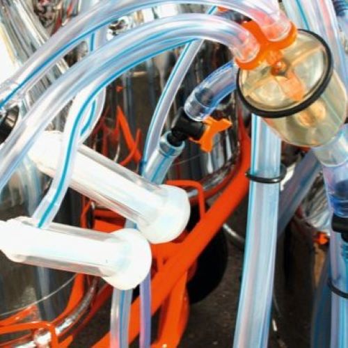 silicone per impronte dentali