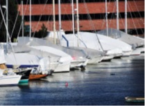 BLUESIL TCS 7513 A - 200 KG