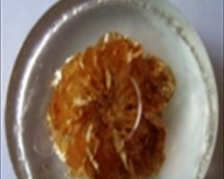 Trasparenti ed Inglobamento 