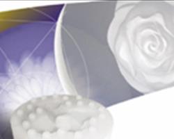 Gomme Siliconiche RTV Policondensazione Bassa Resistenza Meccanica