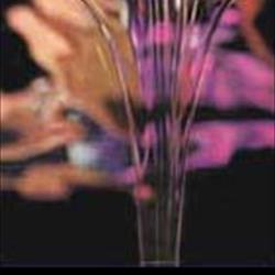 OLIO 47 V 12500 - KG. 25