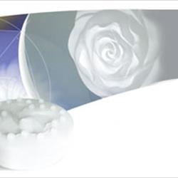 RTV 3527 B BIANCO INCOLORE - KG. 5