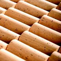 SILBIONE CAF 72589 - LT 1